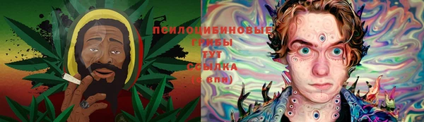гидра Алексин