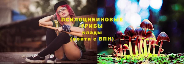 МДПВ Алзамай