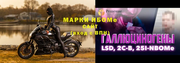 гидра Алексин