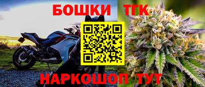 шишки Гусиноозёрск