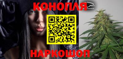 шишки Гусиноозёрск
