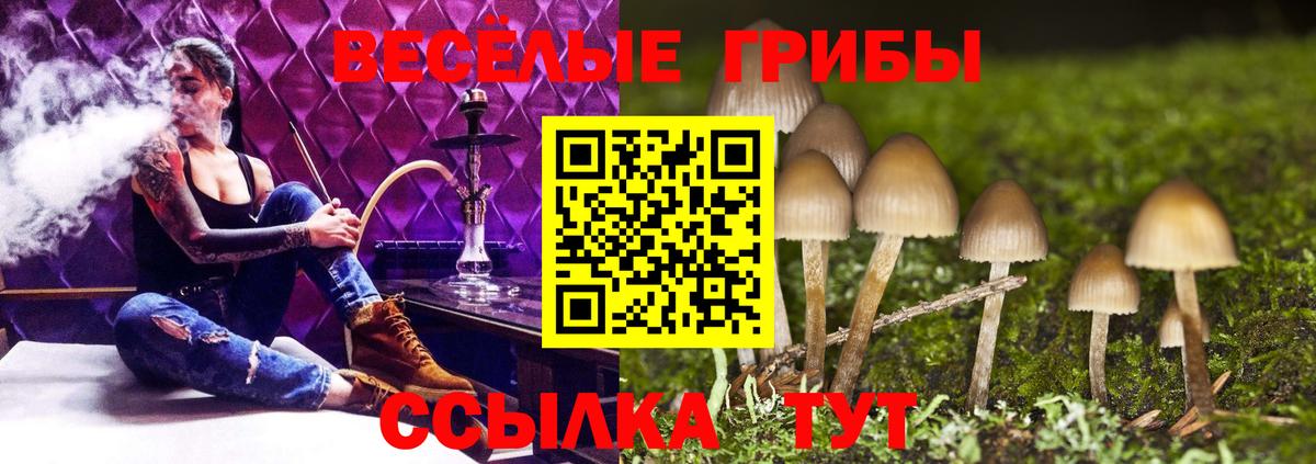 Галлюциногенные грибы мицелий  Псилоцибиновые грибы Cubensis  Вход с VPN  Новочеркасск 